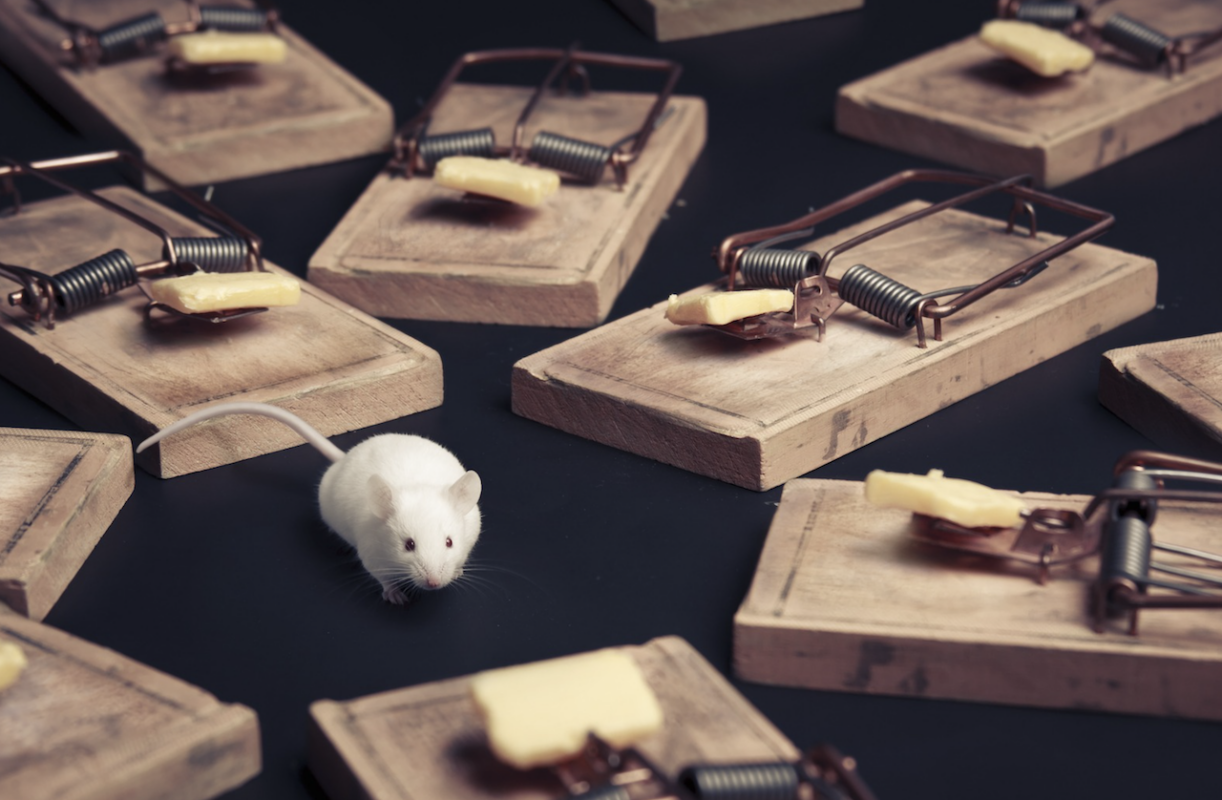 Muis tussen verschillende muizenvallen. Metafoor voor de valkuilen die je kan hebben bij de periodieke aangifte
